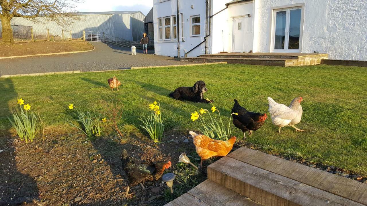 Crofthead Farm House Tarbolton ภายนอก รูปภาพ