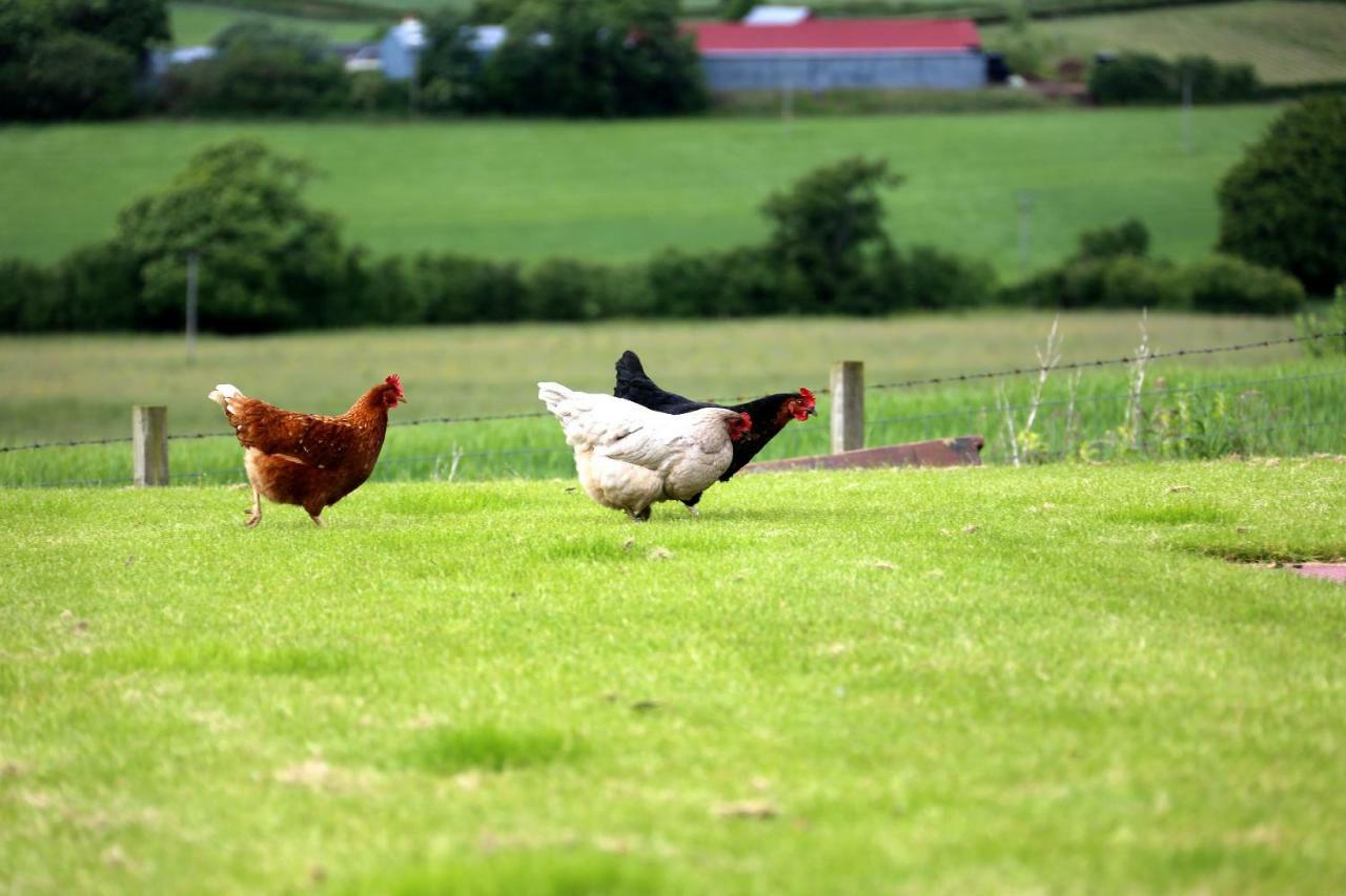 Crofthead Farm House Tarbolton ภายนอก รูปภาพ