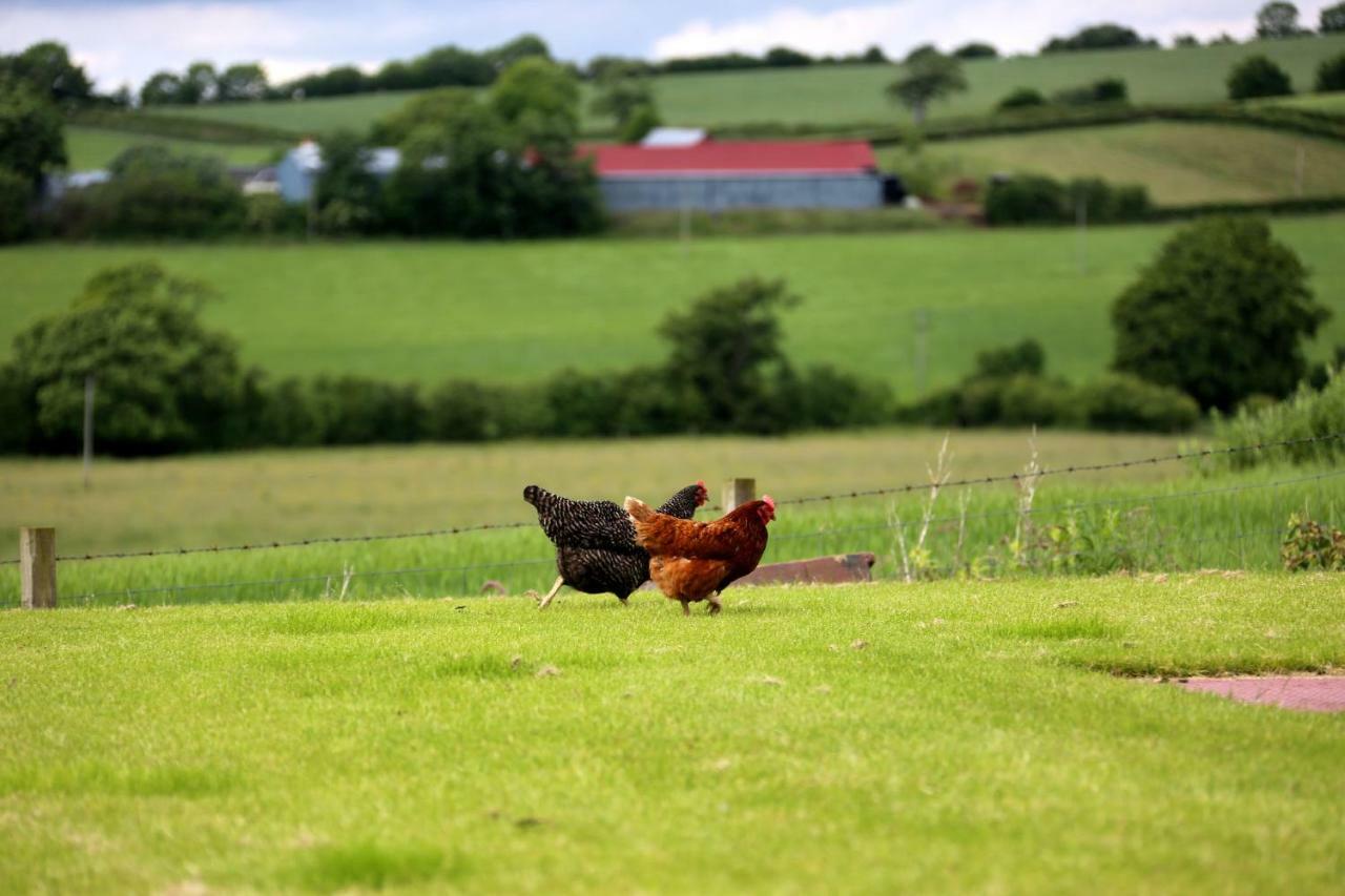 Crofthead Farm House Tarbolton ภายนอก รูปภาพ
