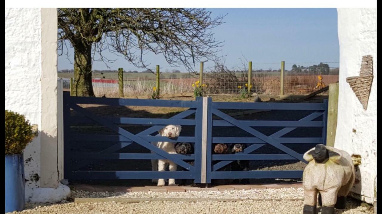 Crofthead Farm House Tarbolton ภายนอก รูปภาพ